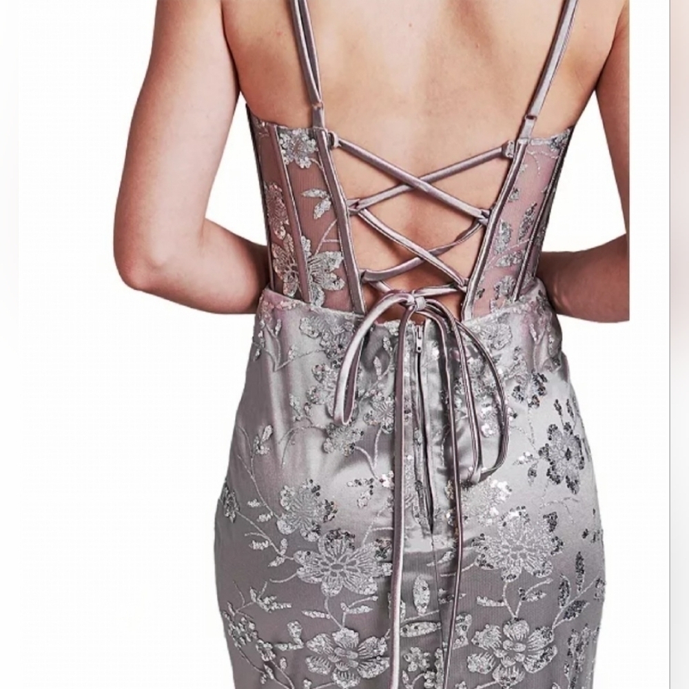 Dear Moon Silver Glitter Mesh Gown Size 0 - Picture 5 of 16